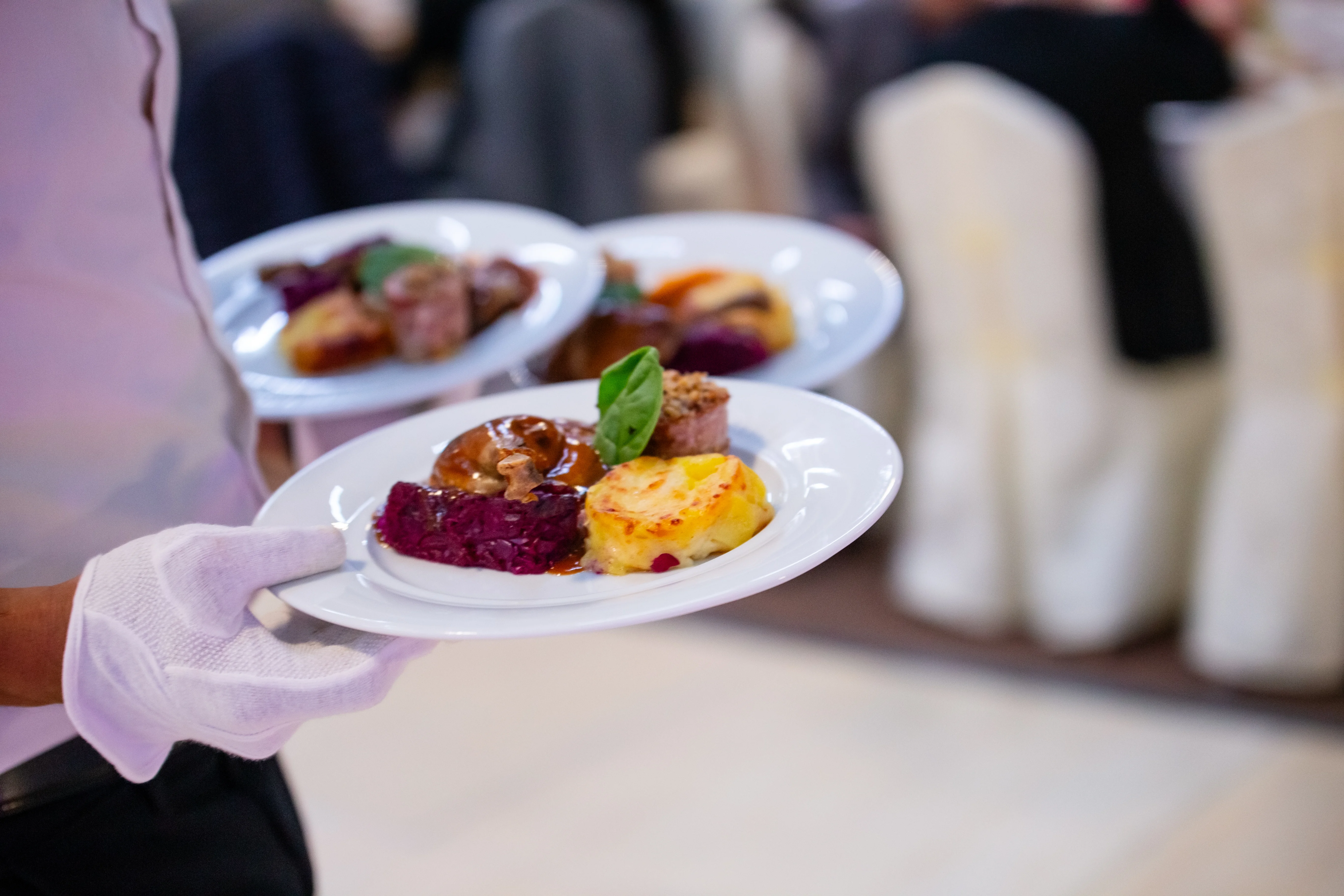 Meniu Odissea - decor elegant și preparate fine dining